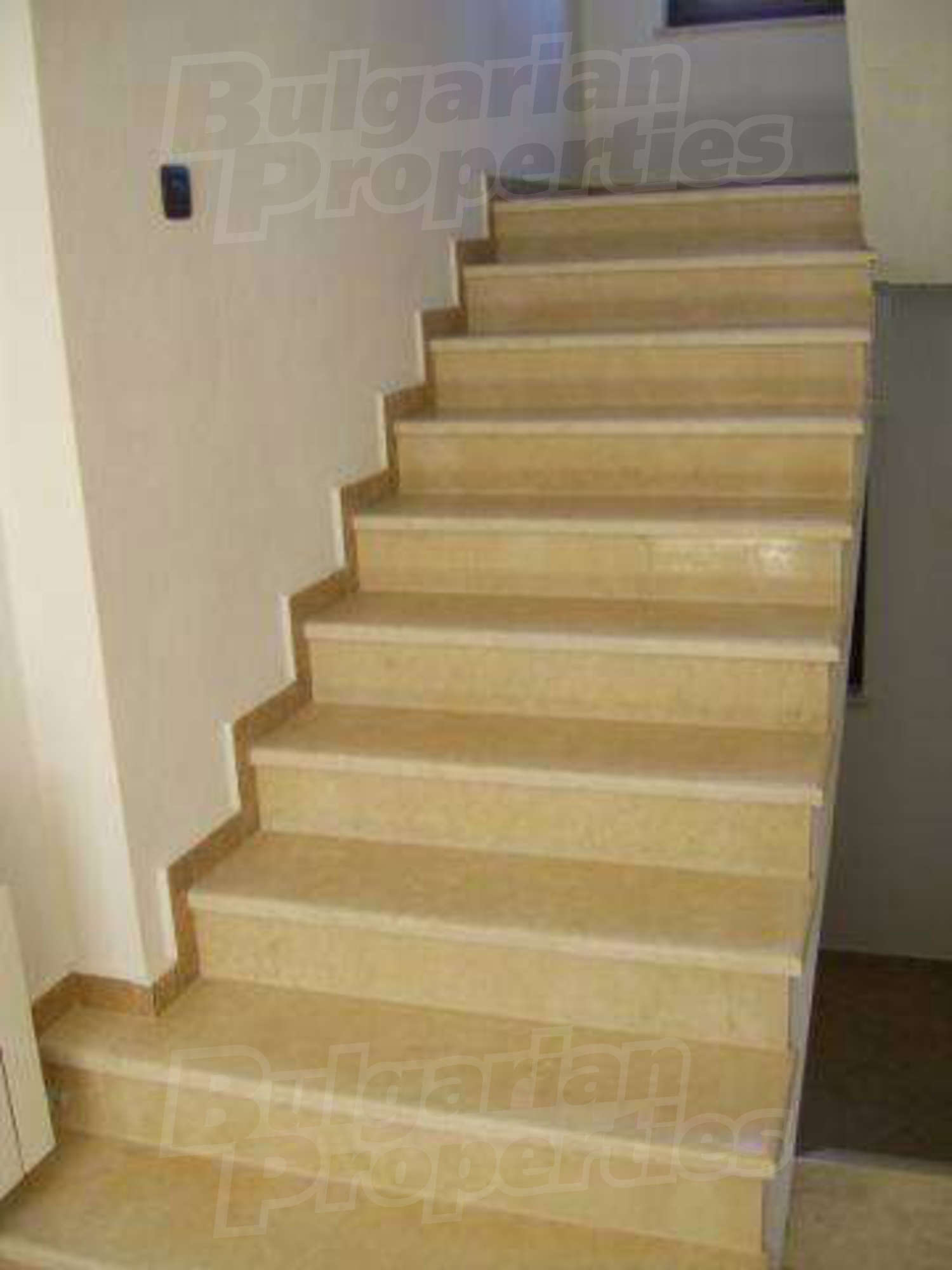 Gallery Picture 27
