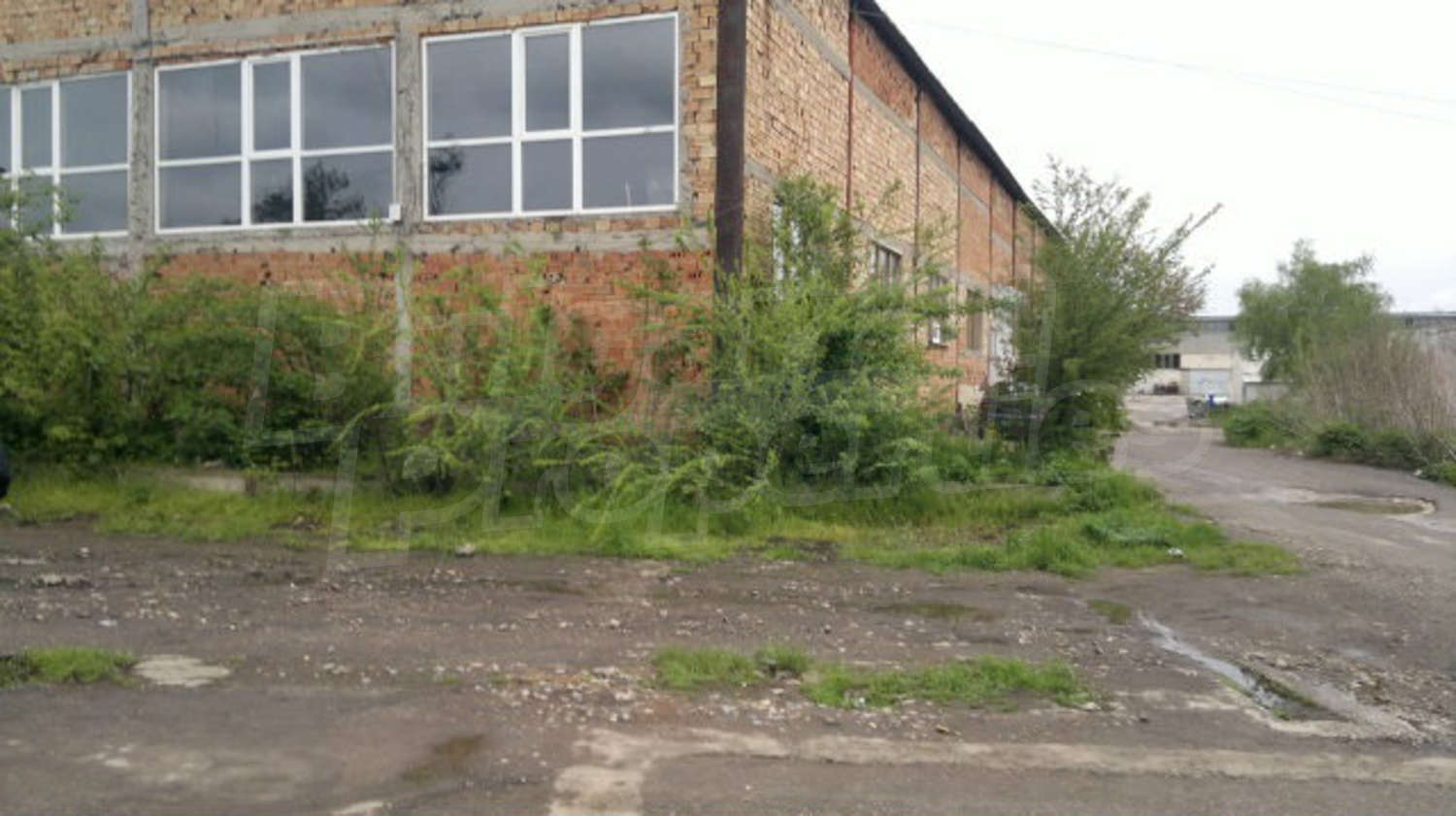 Gallery Picture 6