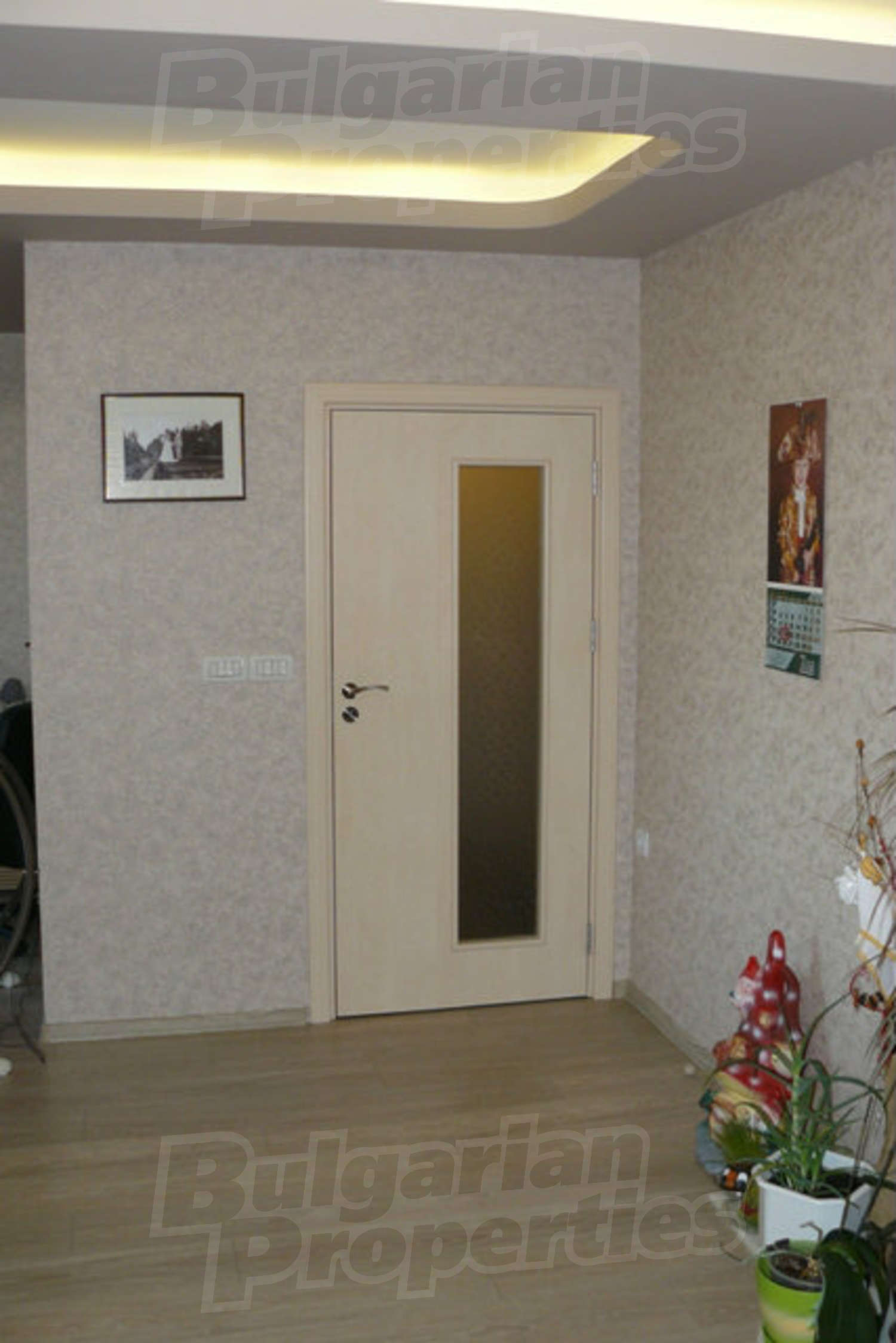 Gallery Picture 6