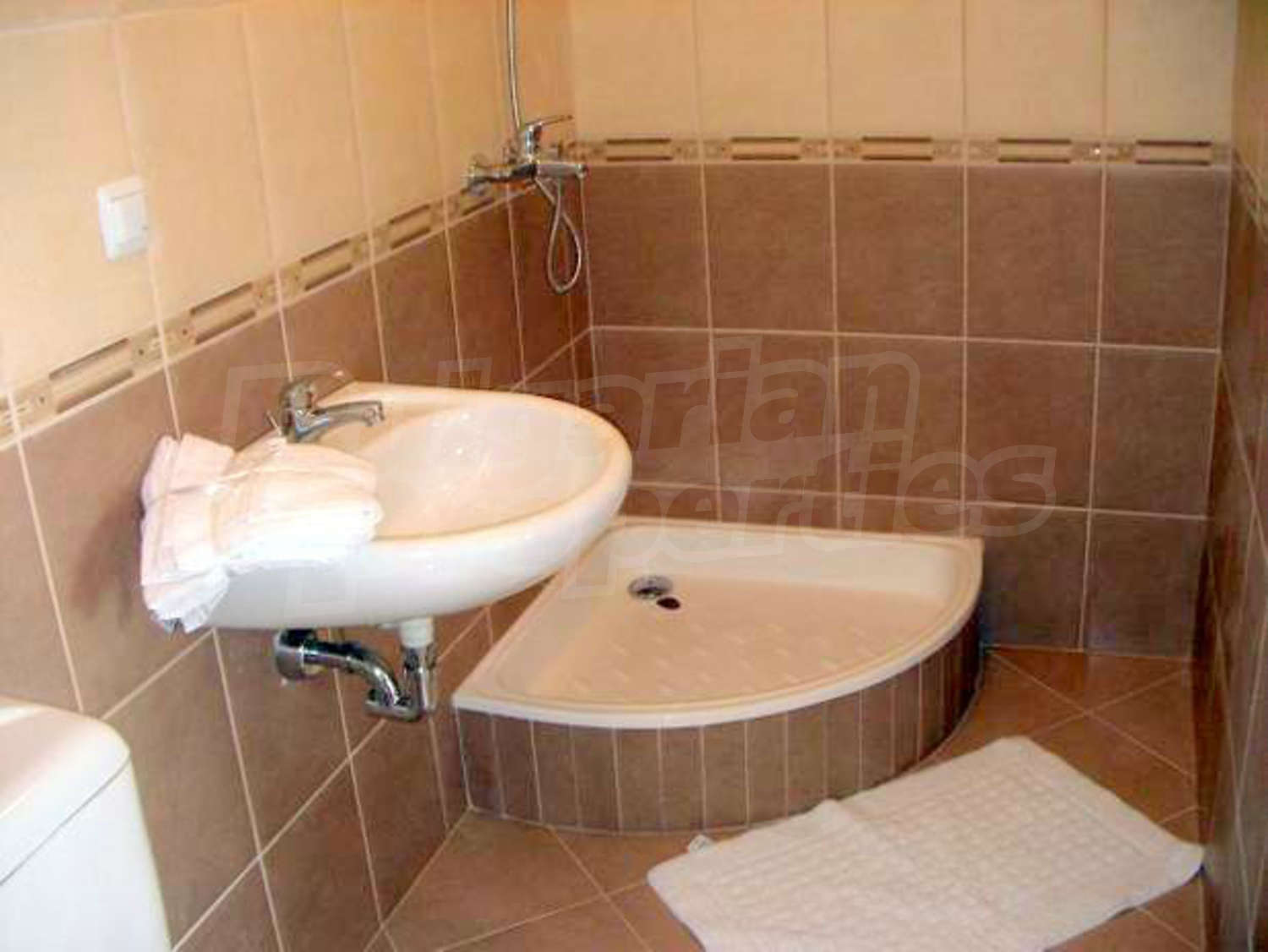 Gallery Picture 10