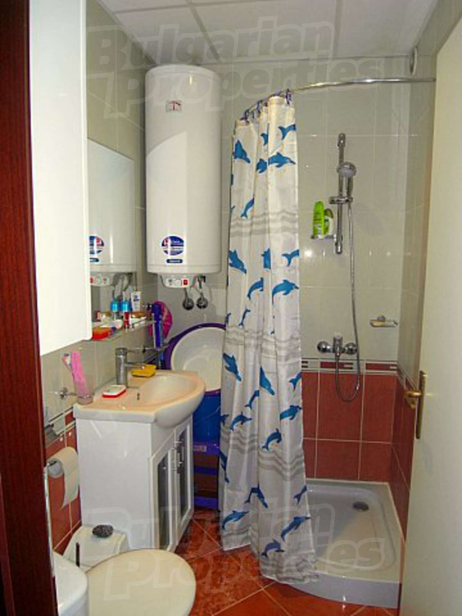 Gallery Picture 8