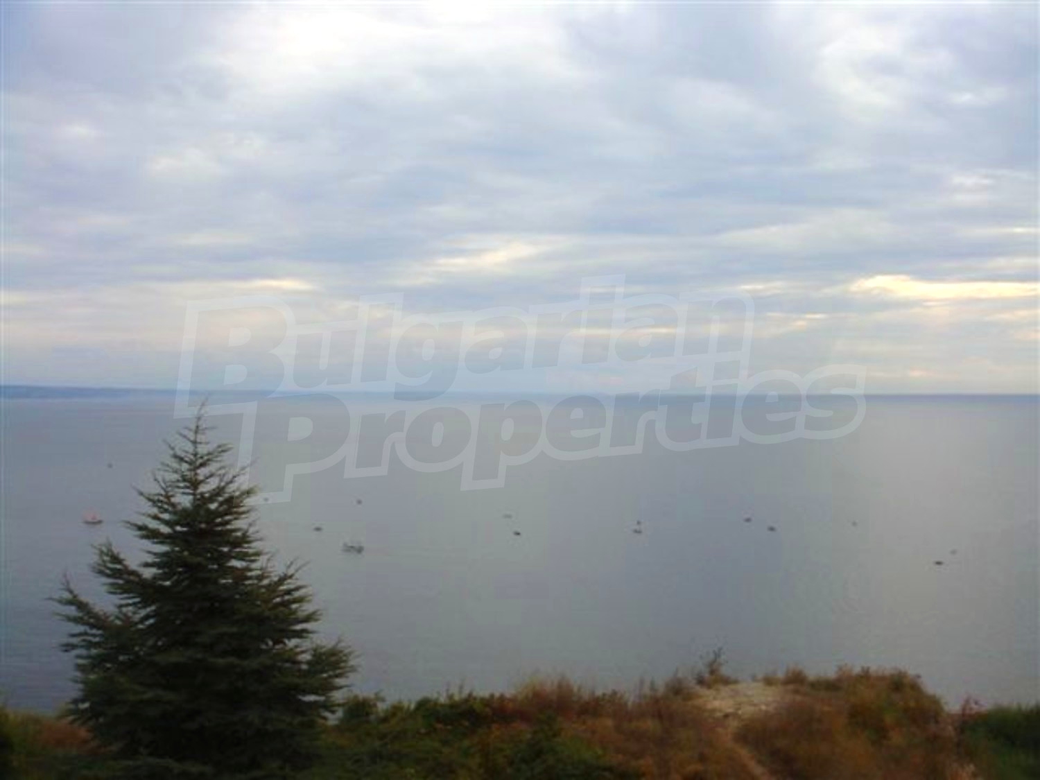 Gallery Picture 11