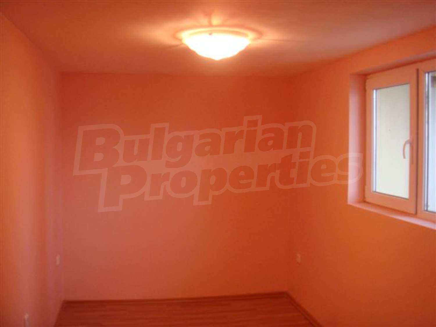 Gallery Picture 5