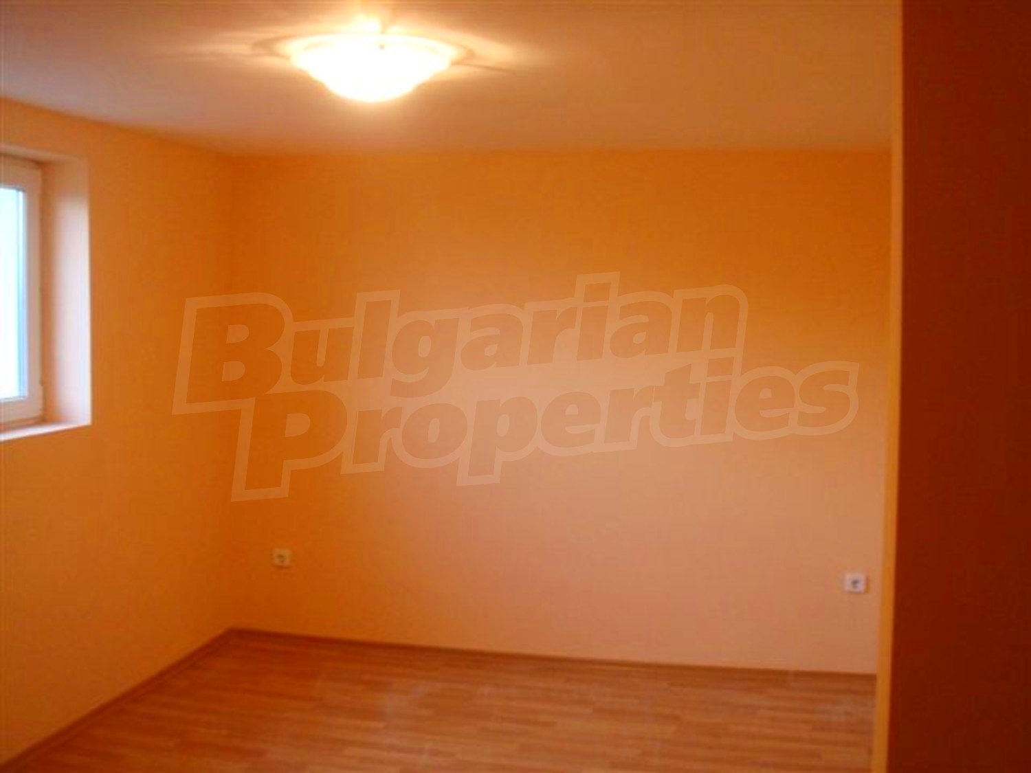 Gallery Picture 6