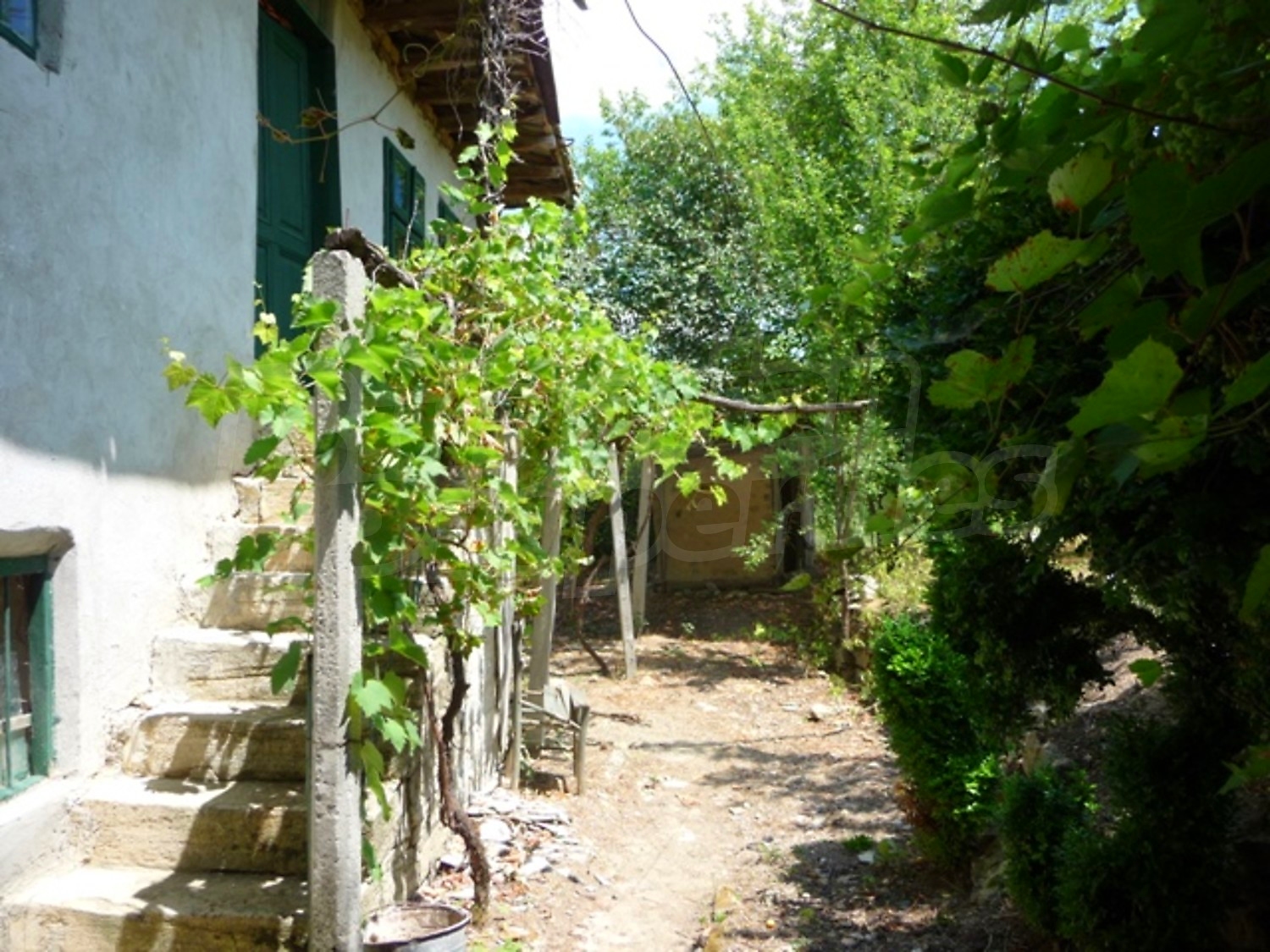 Gallery Picture 23