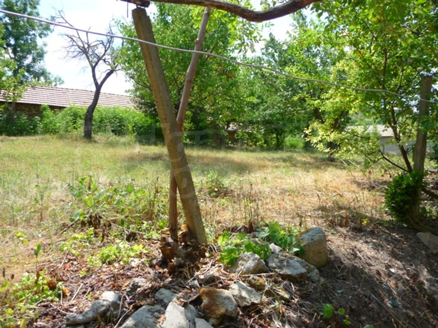 Gallery Picture 25