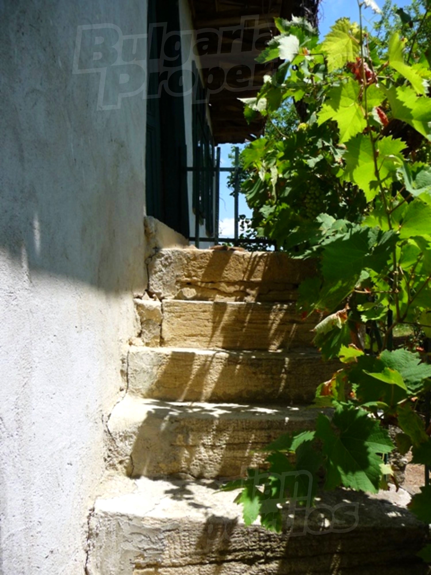 Gallery Picture 8