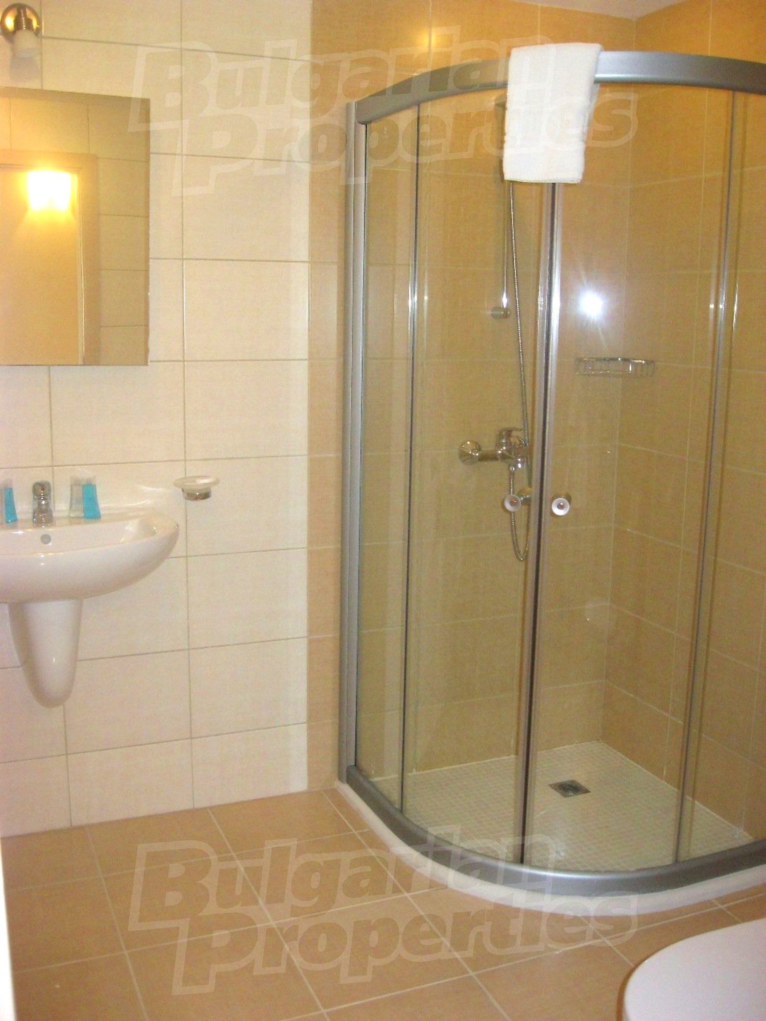 Gallery Picture 41
