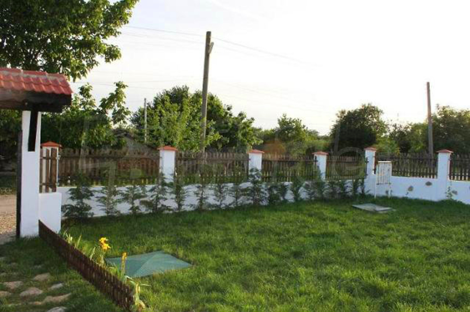 Gallery Picture 18