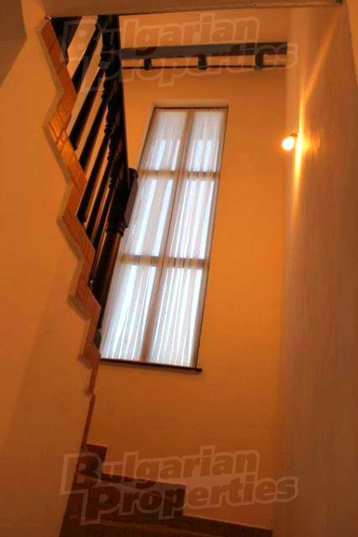 Gallery Picture 37
