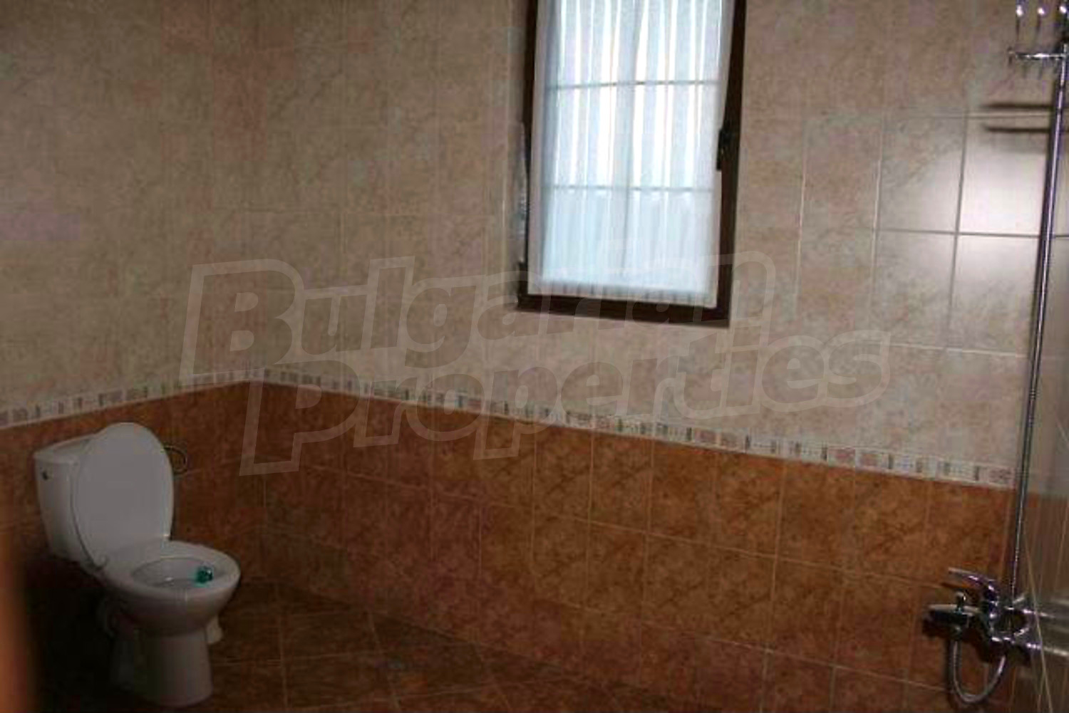 Gallery Picture 44