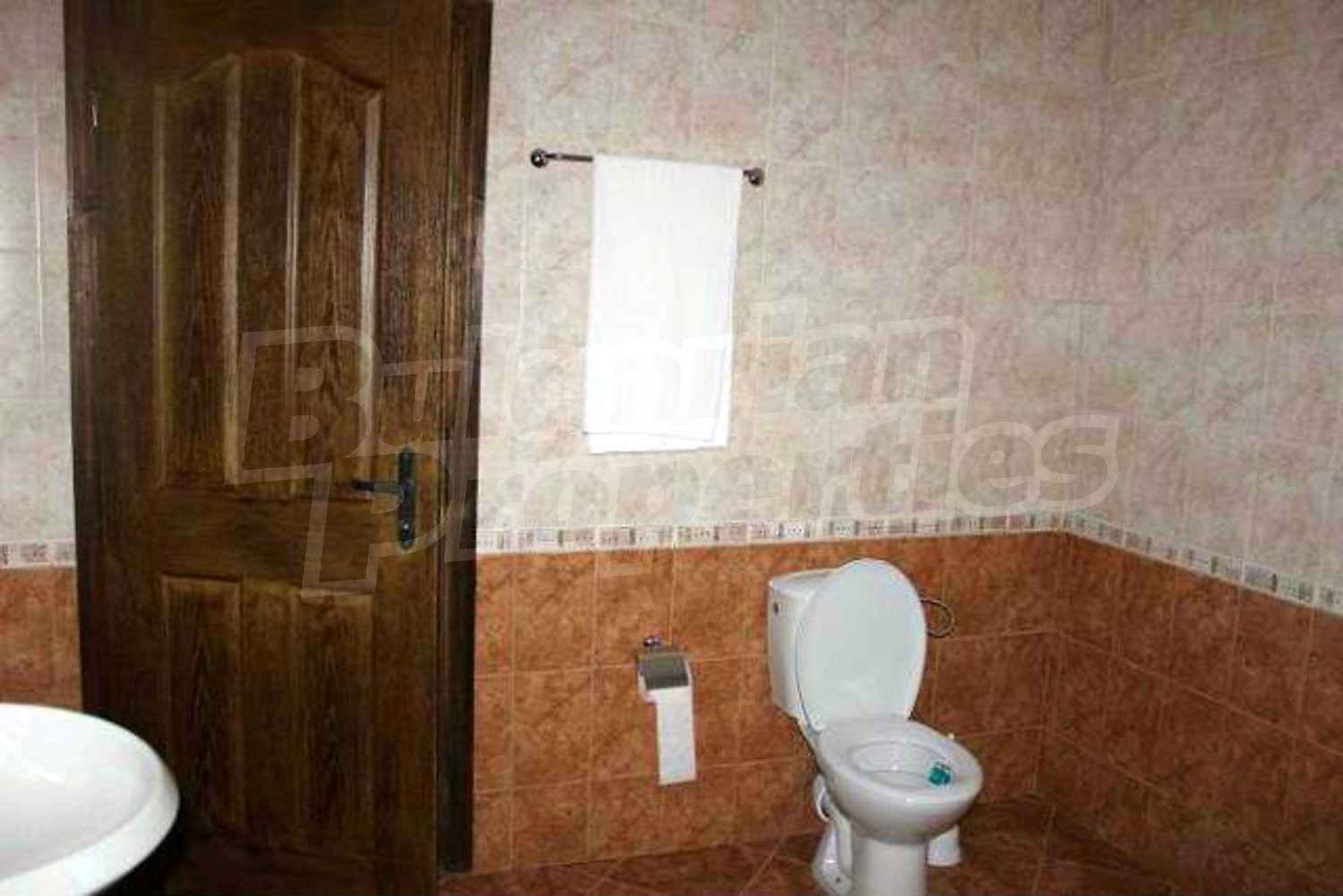 Gallery Picture 45