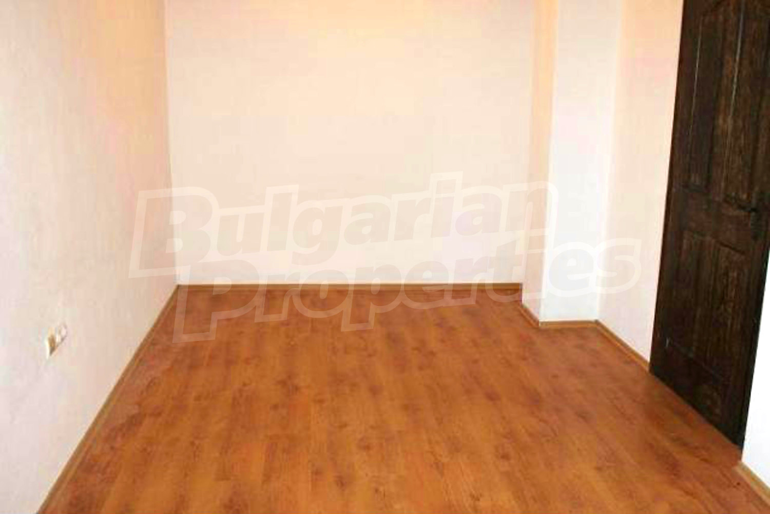 Gallery Picture 54