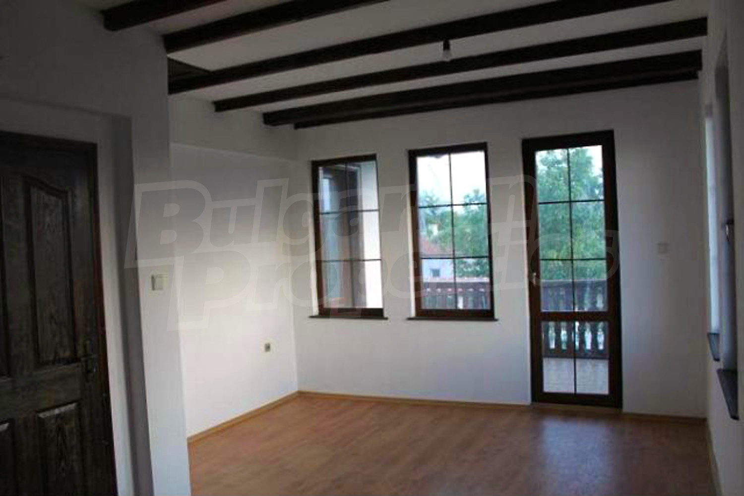 Gallery Picture 57