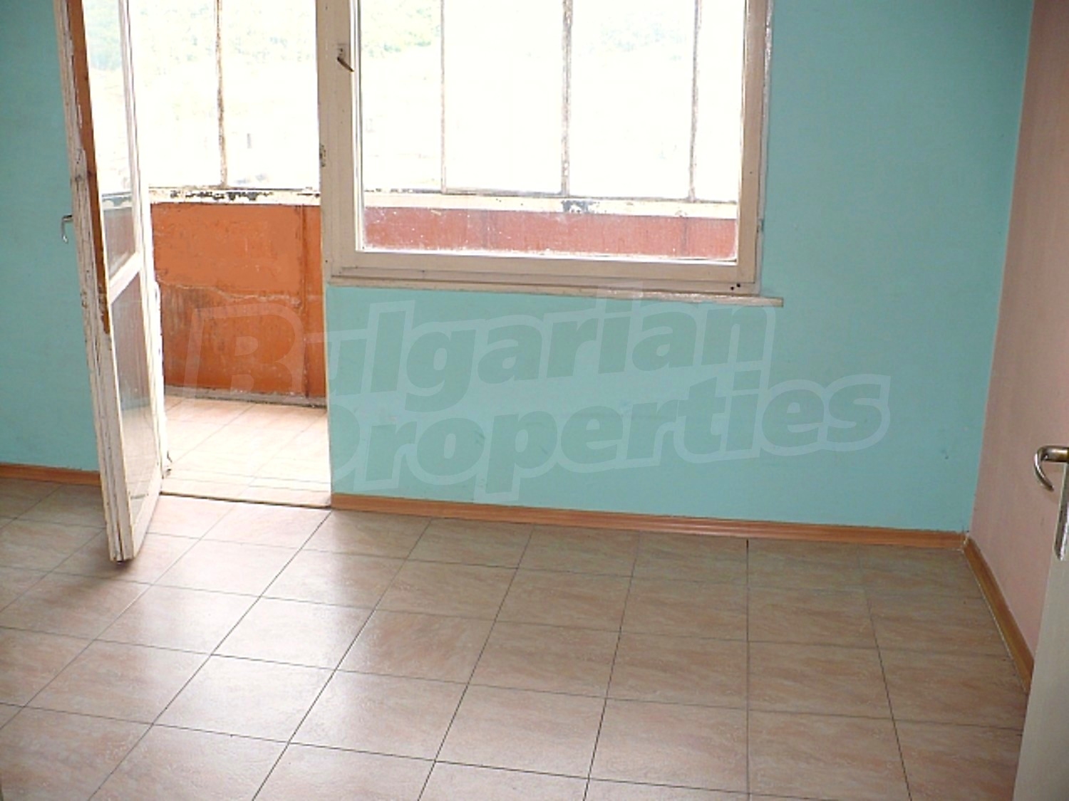 Gallery Picture 11