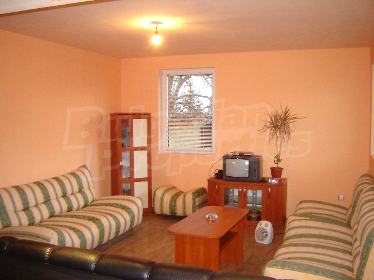 Gallery Picture 7