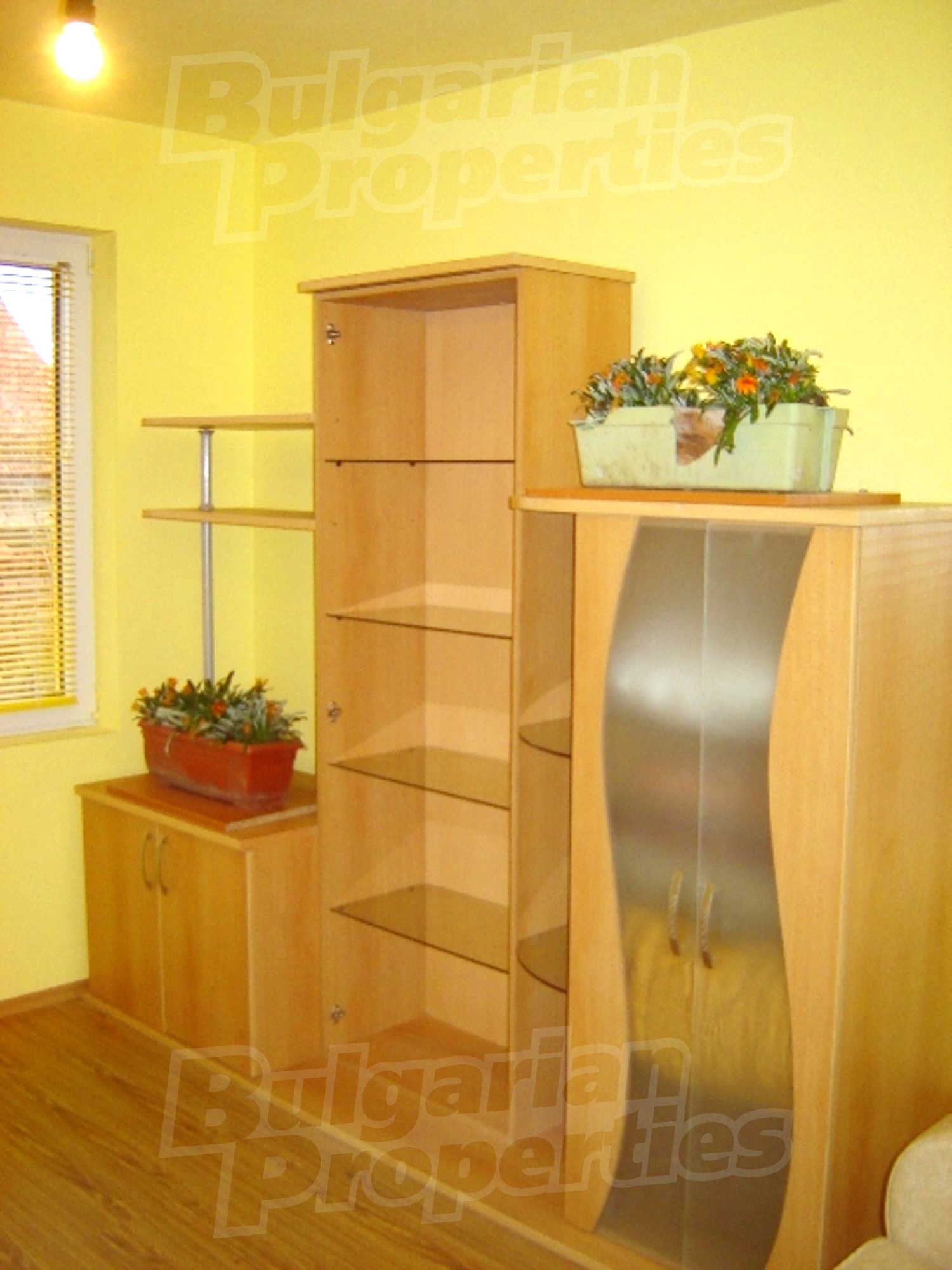 Gallery Picture 8