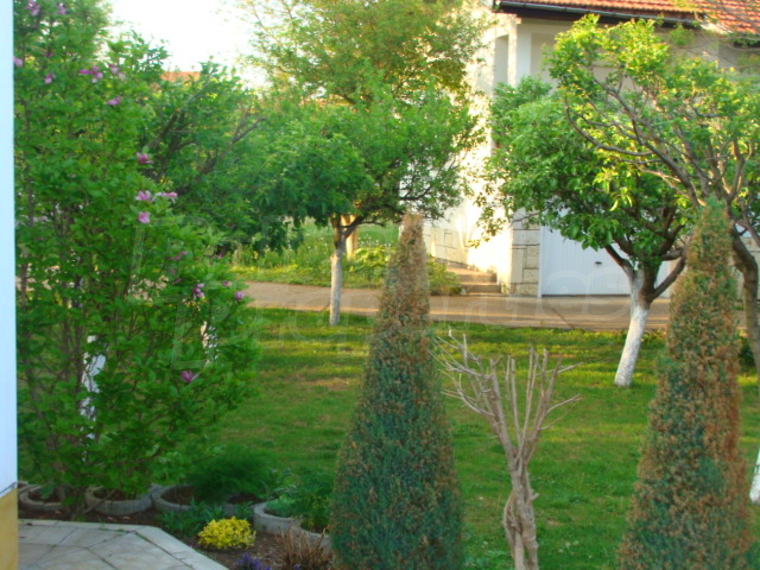 Gallery Picture 11