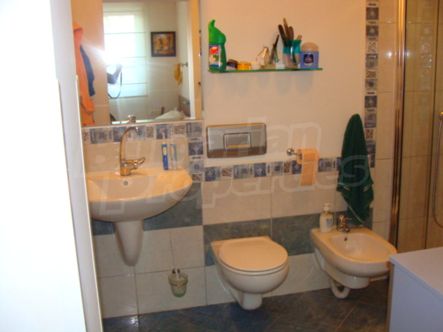Gallery Picture 7