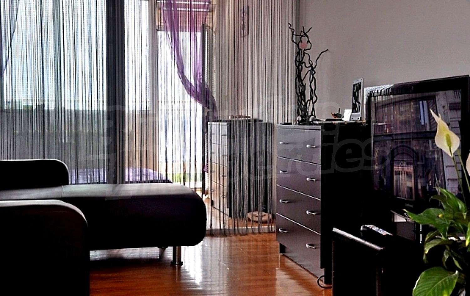 Gallery Picture 10