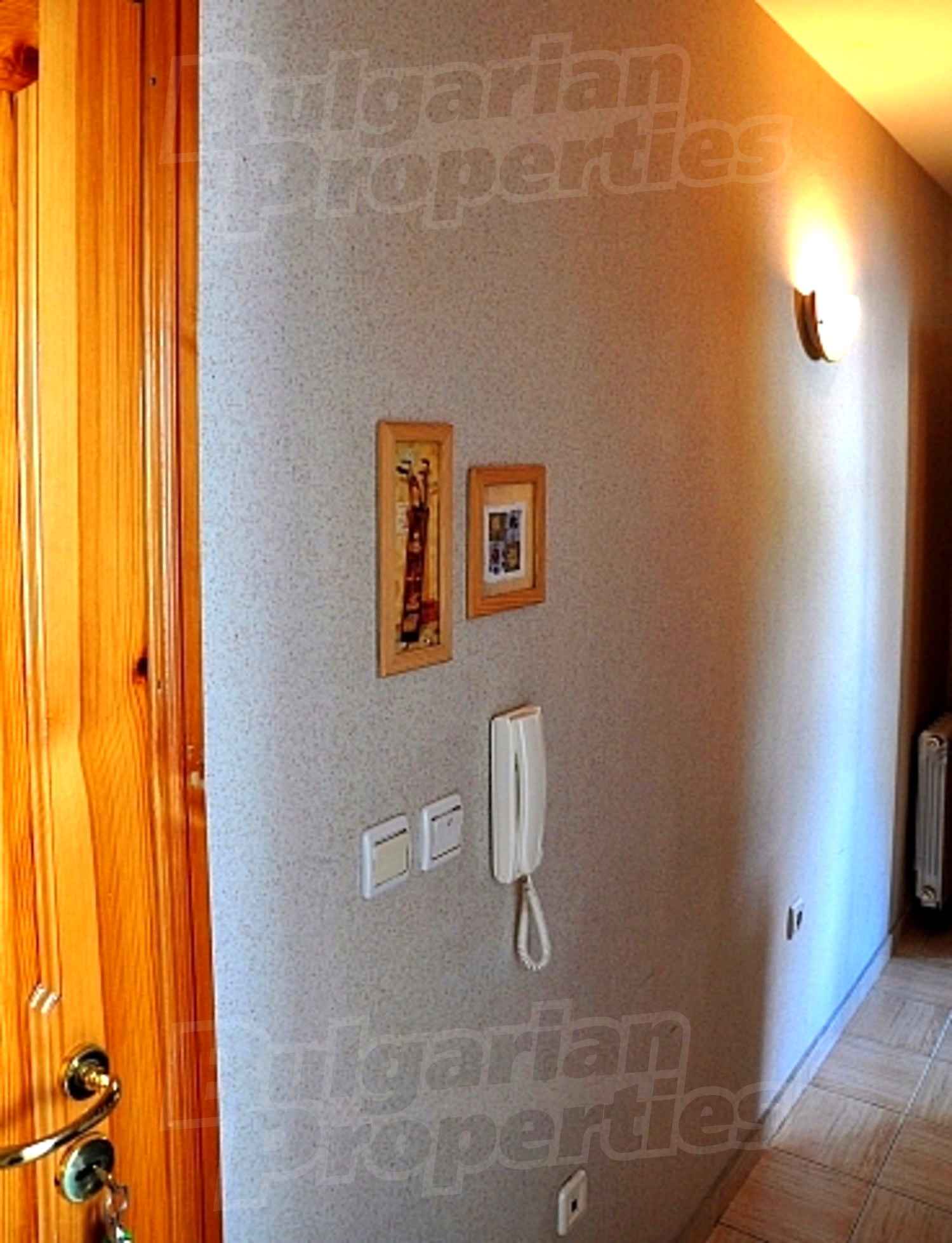 Gallery Picture 24