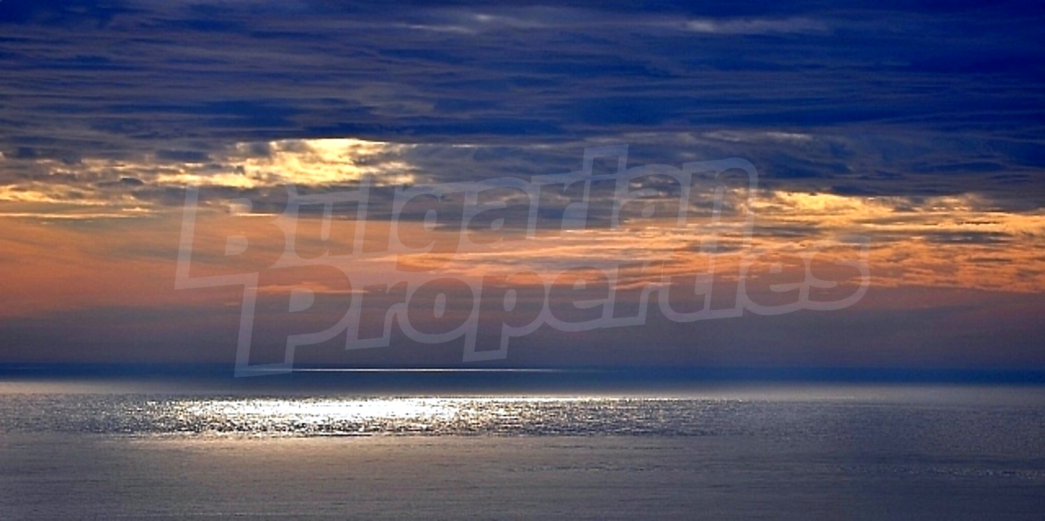 Gallery Picture 35