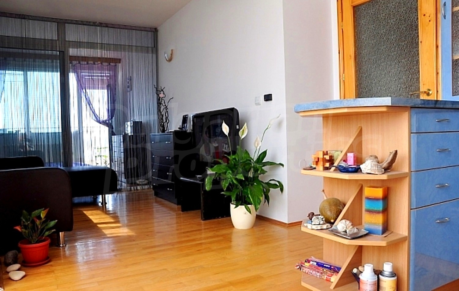 Gallery Picture 7