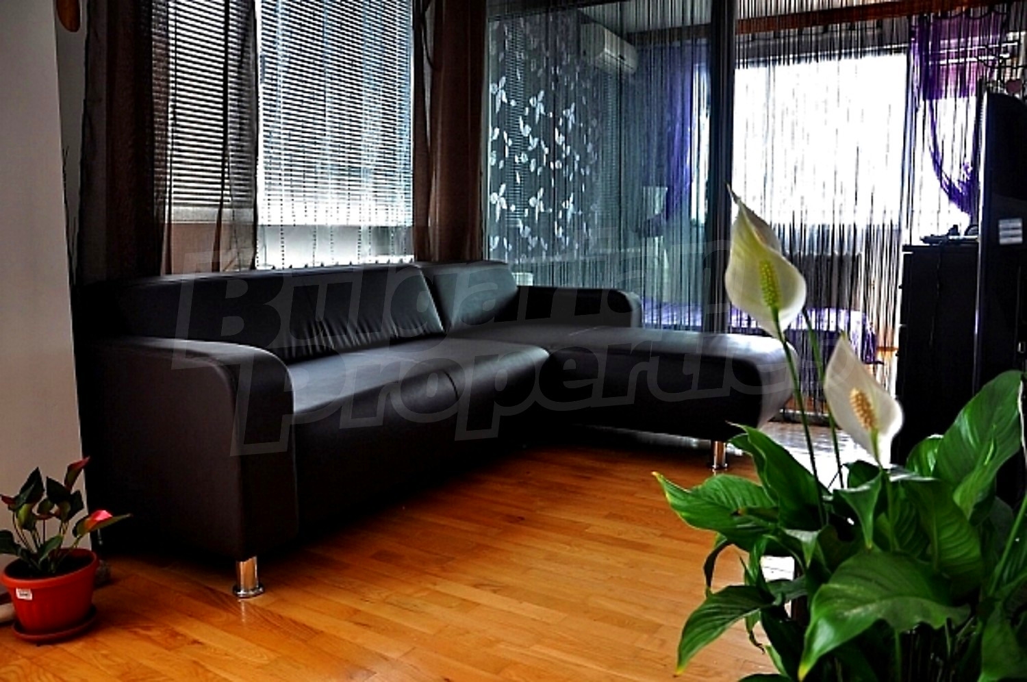 Gallery Picture 9