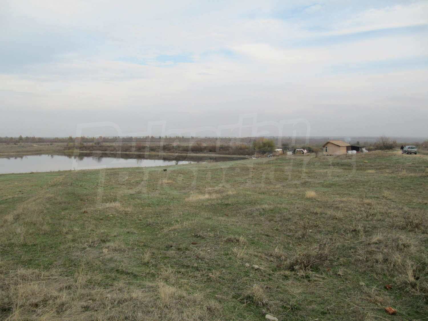 Gallery Picture 11