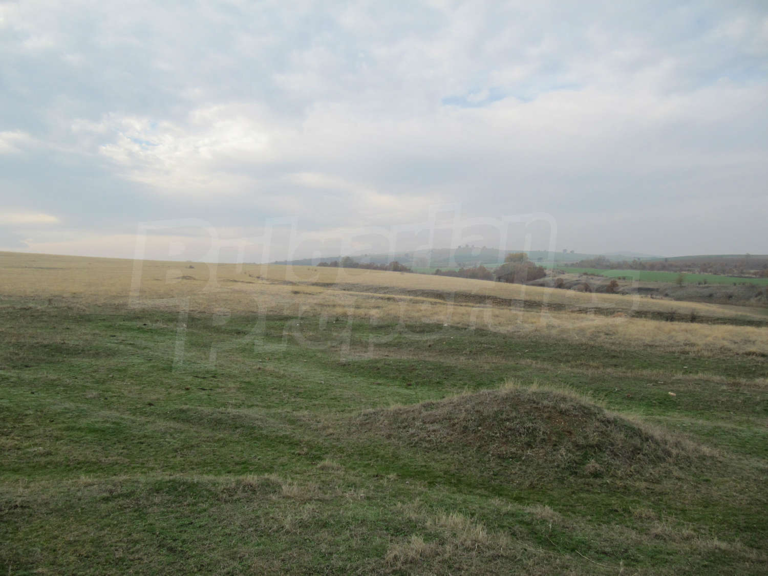 Gallery Picture 14