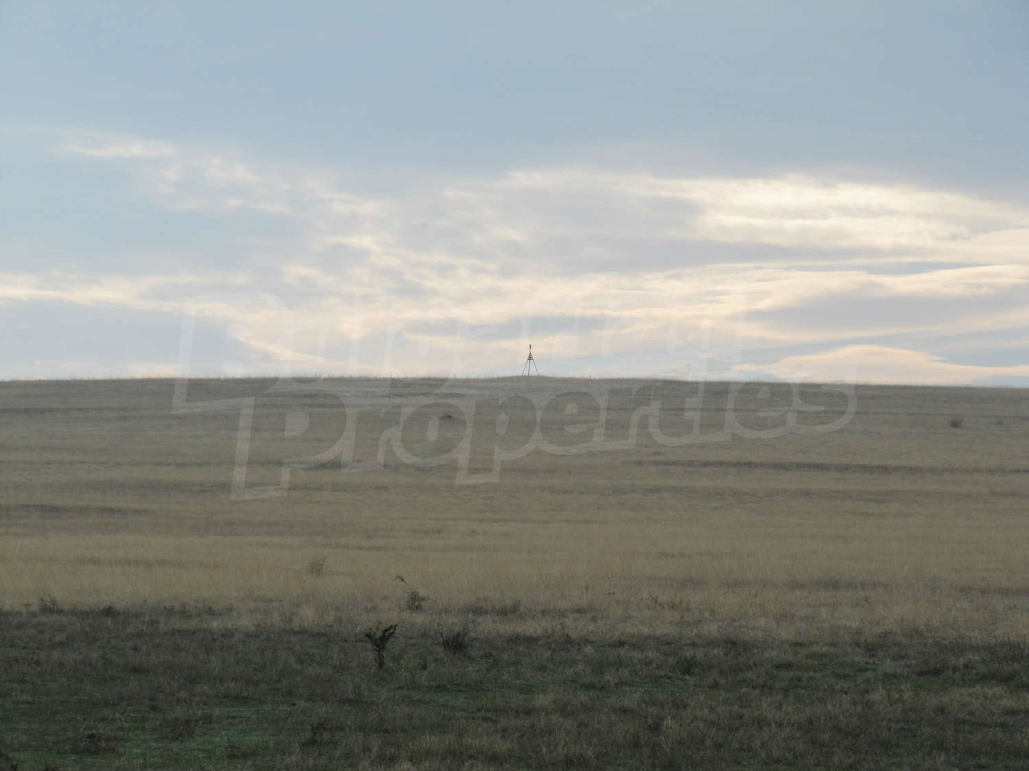 Gallery Picture 15