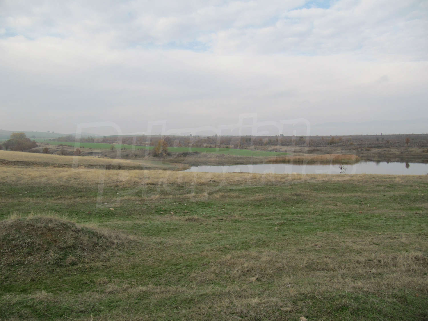Gallery Picture 17