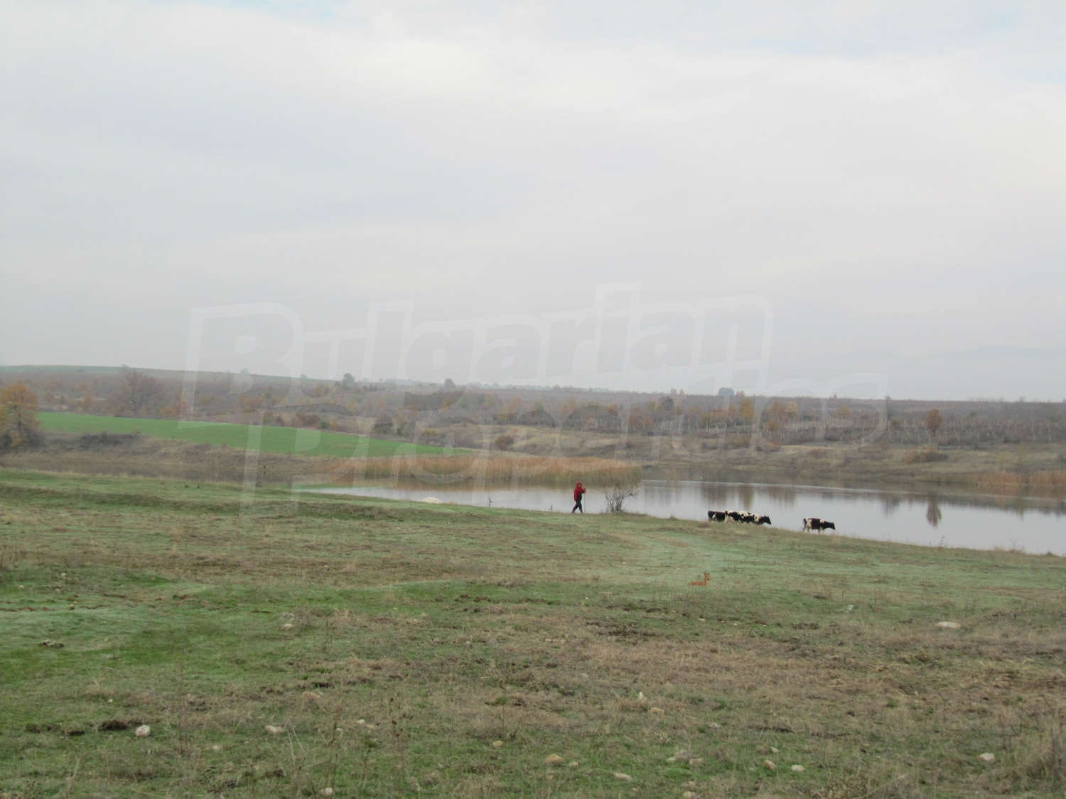 Gallery Picture 6