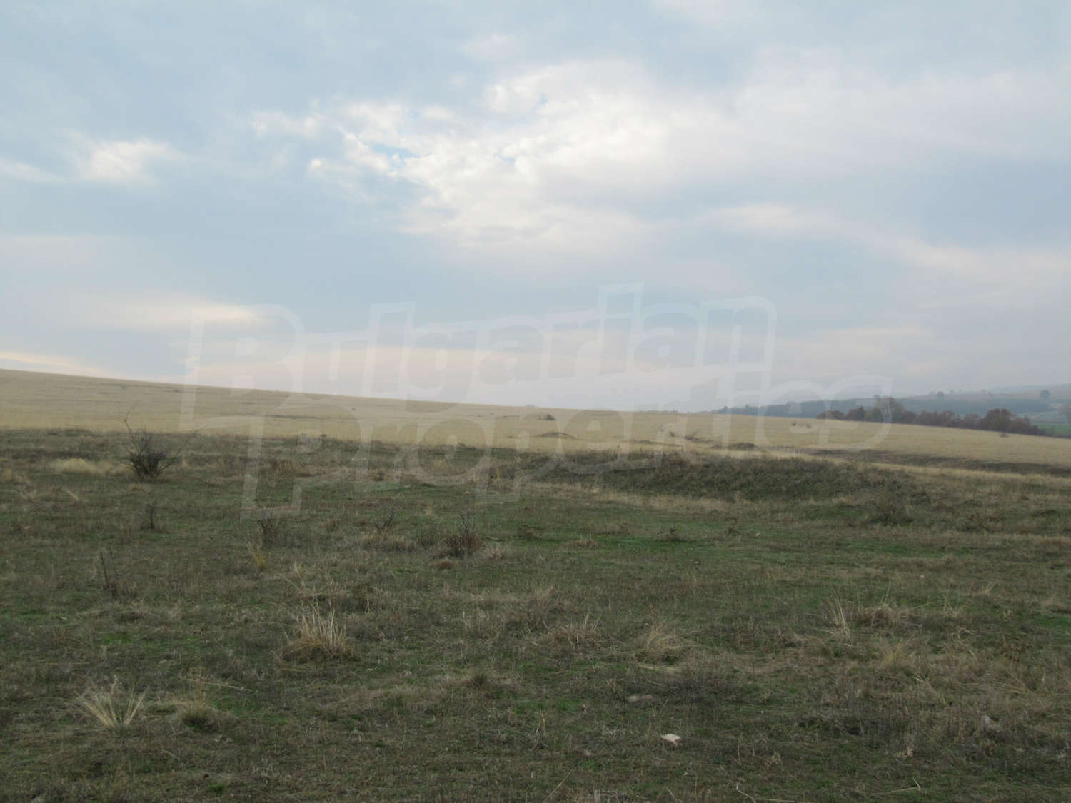 Gallery Picture 9