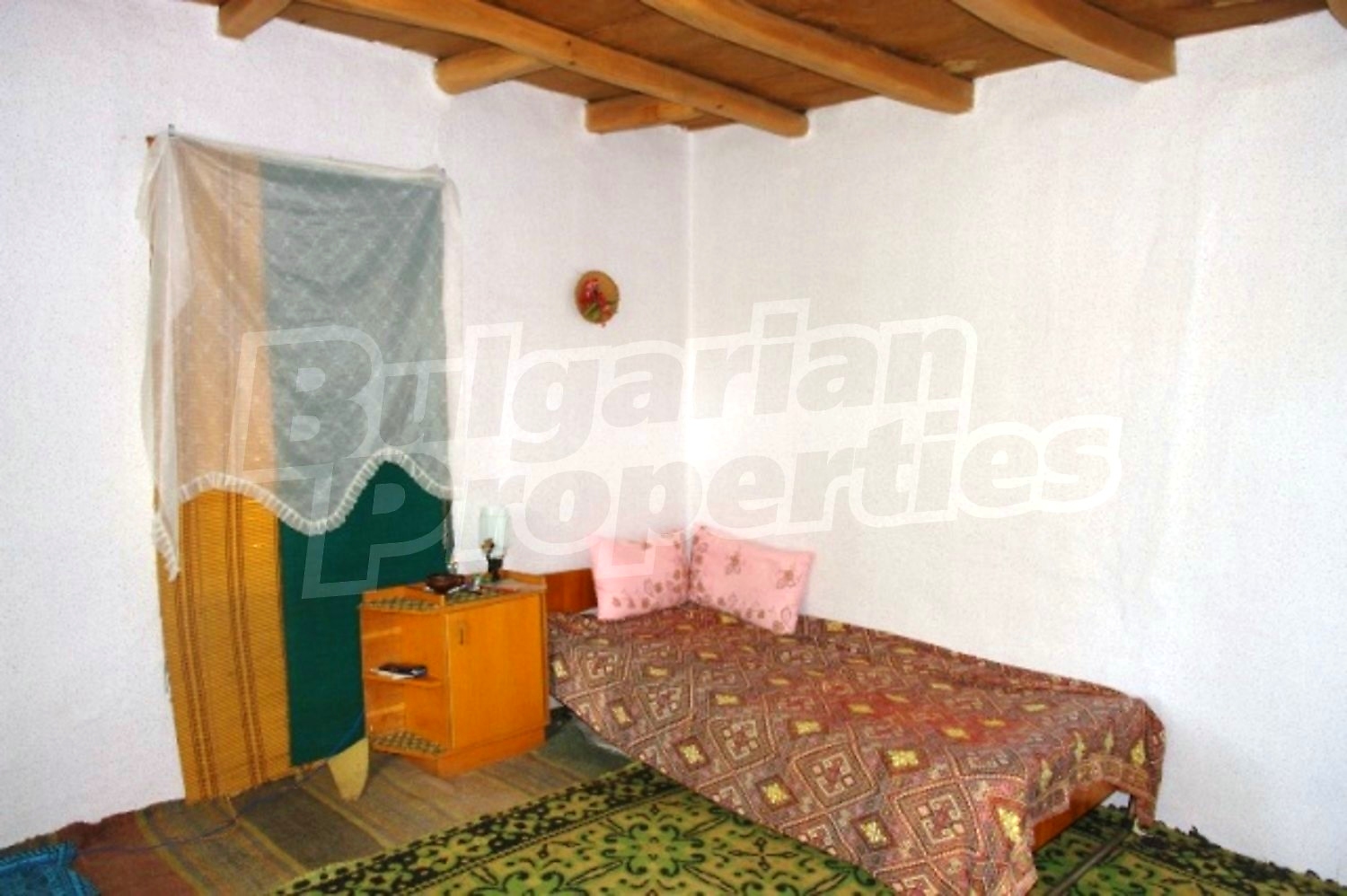 Gallery Picture 12