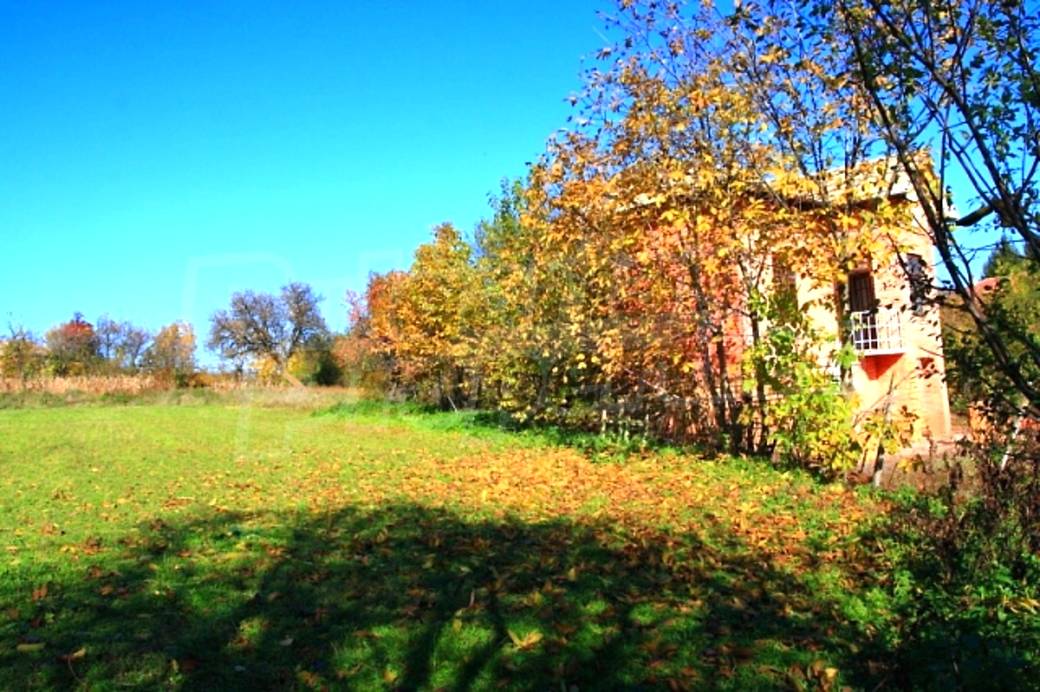 Gallery Picture 2