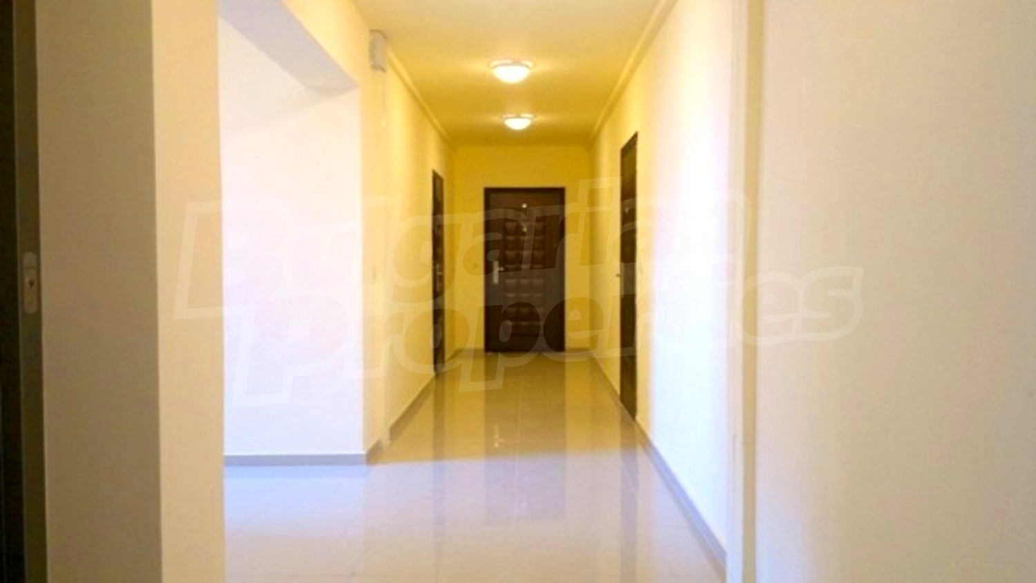 Gallery Picture 13