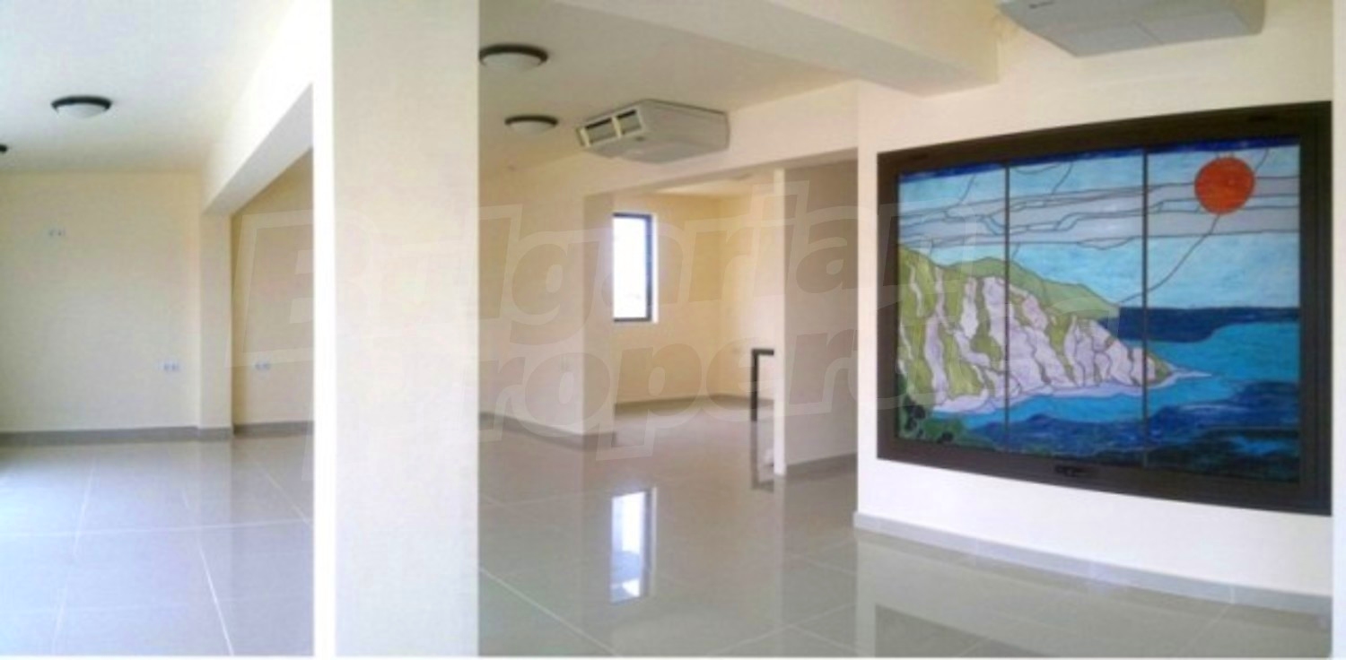Gallery Picture 15
