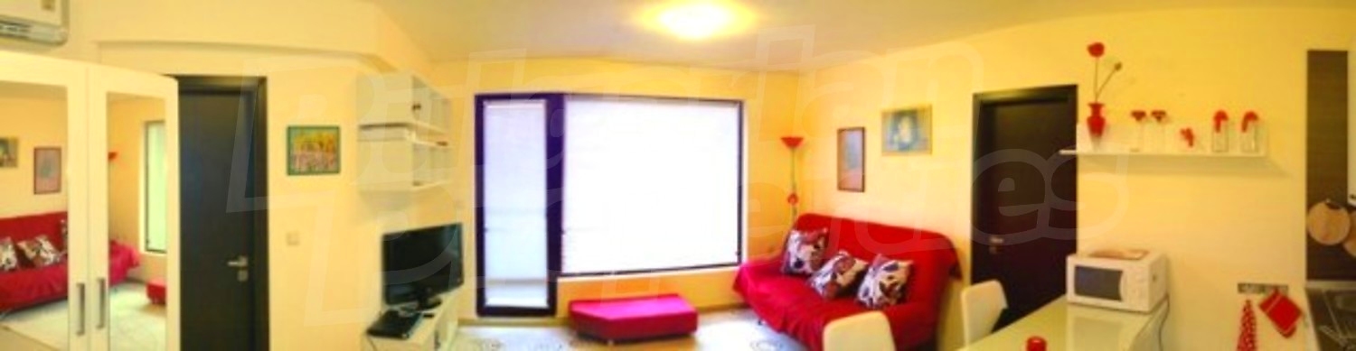 Gallery Picture 16