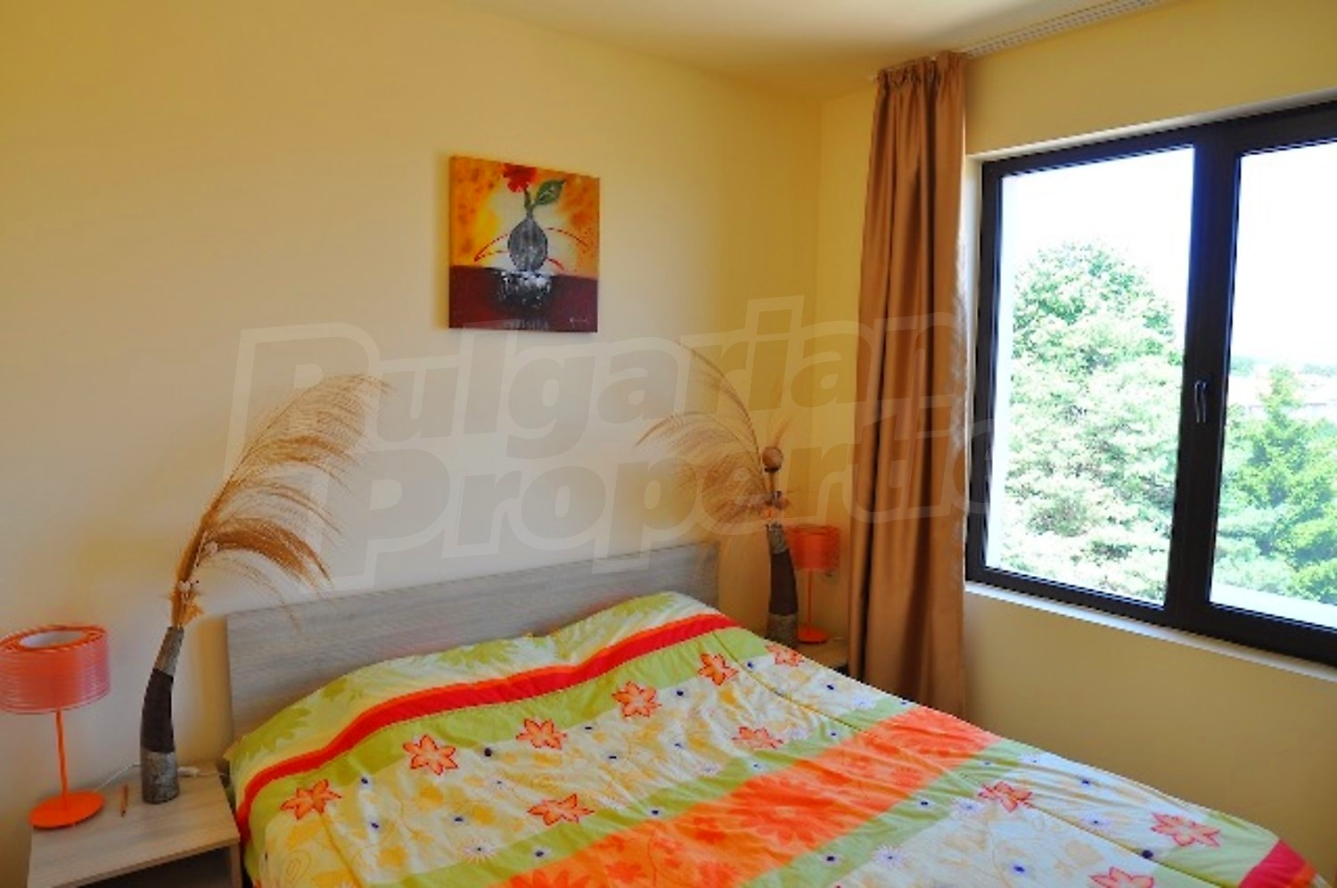 Gallery Picture 33