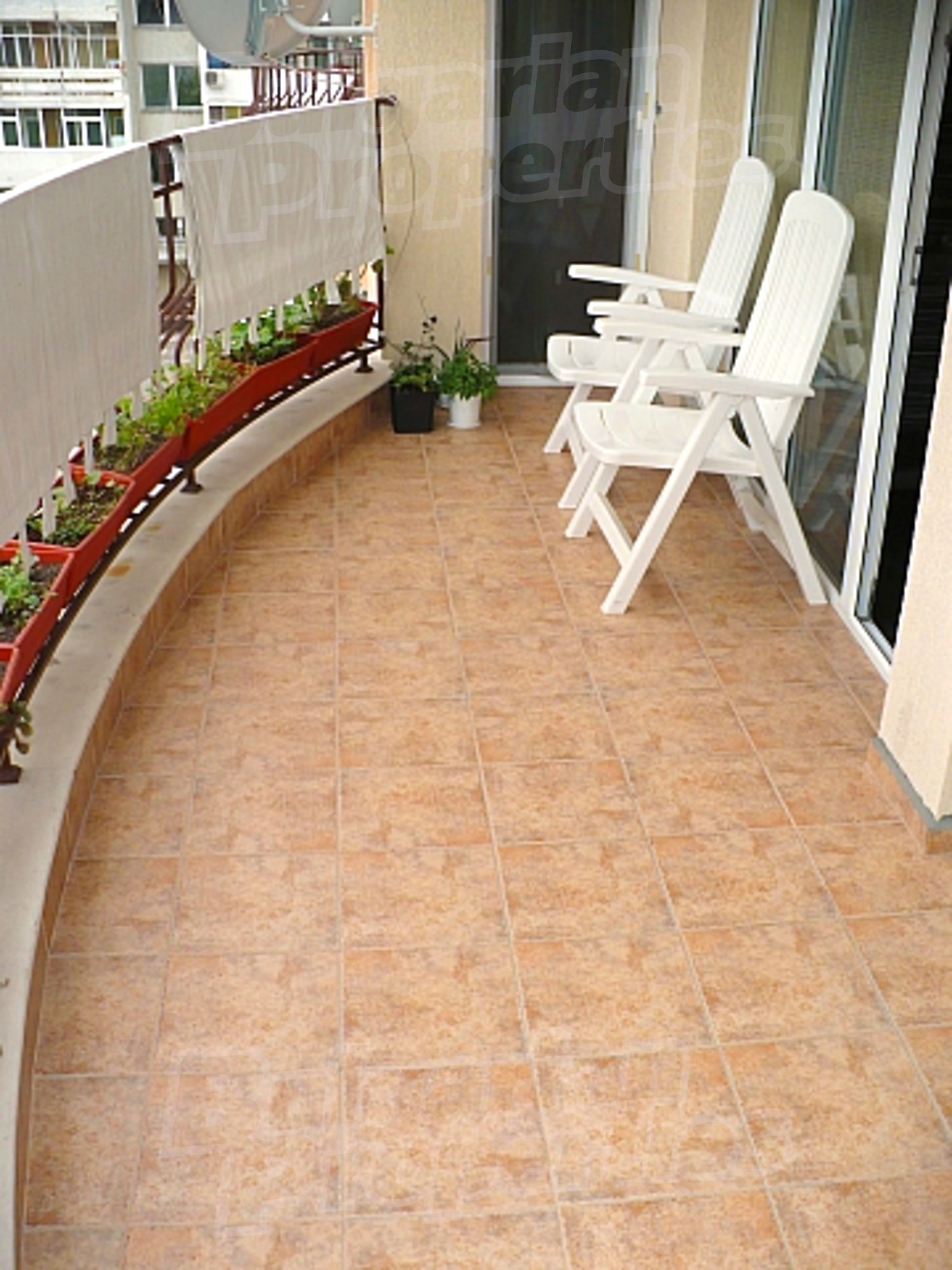 Gallery Picture 10