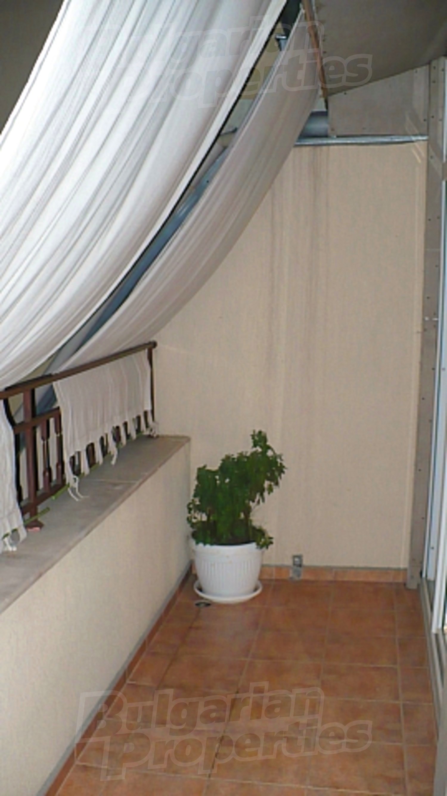 Gallery Picture 24