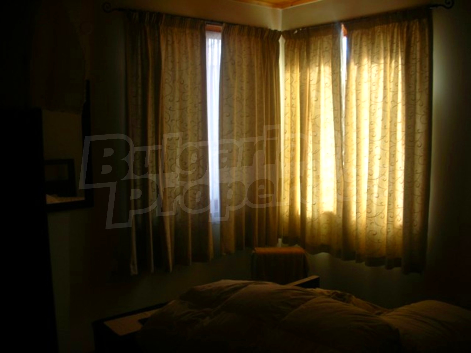 Gallery Picture 17