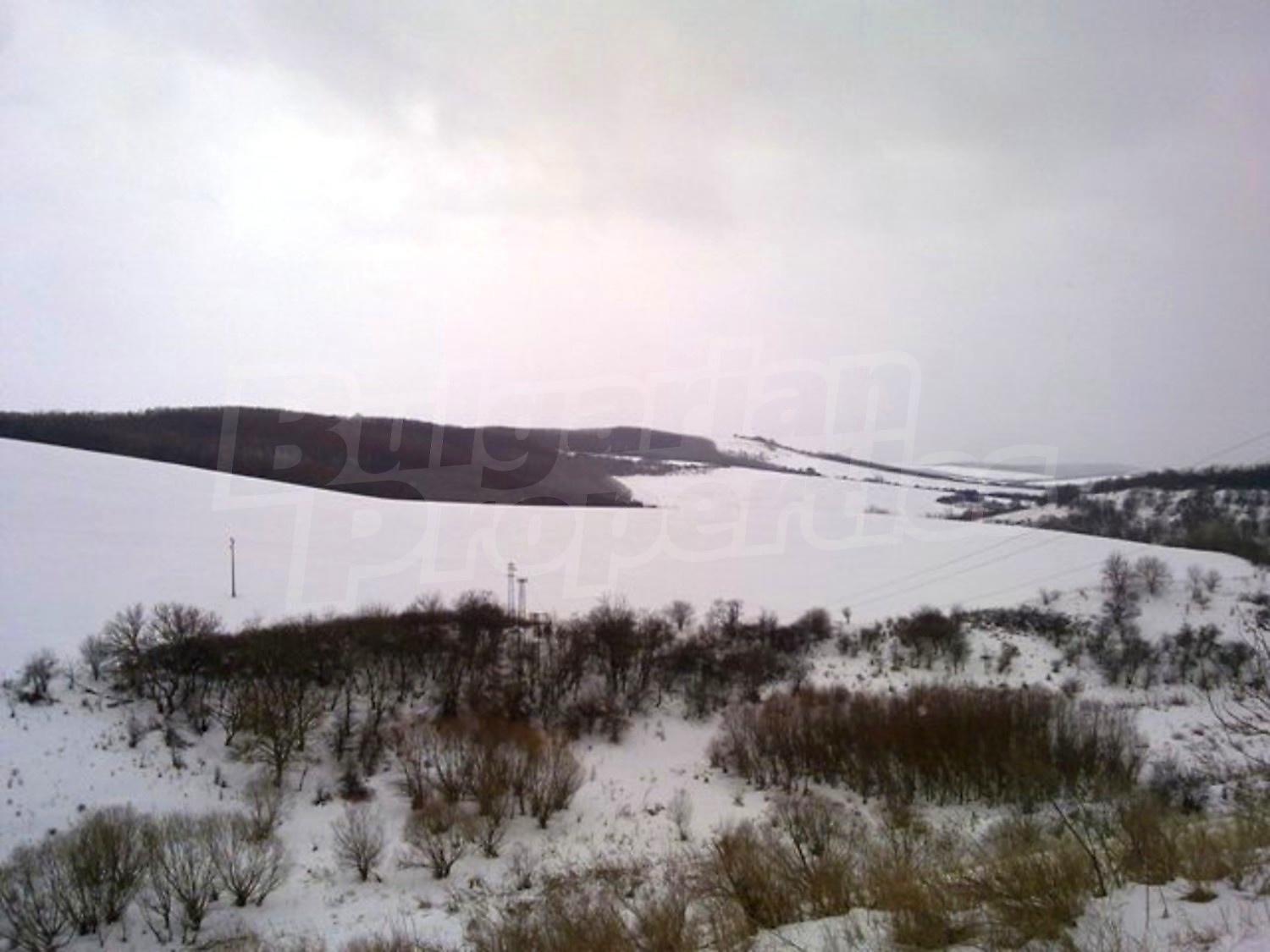 Gallery Picture 6