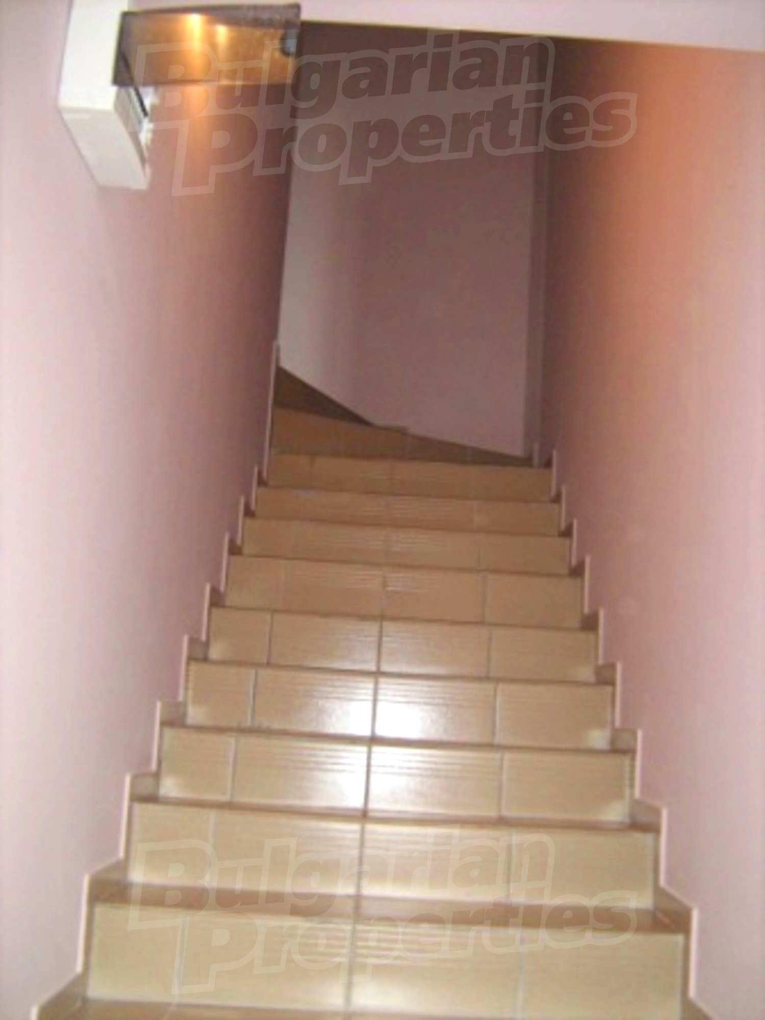 Gallery Picture 10