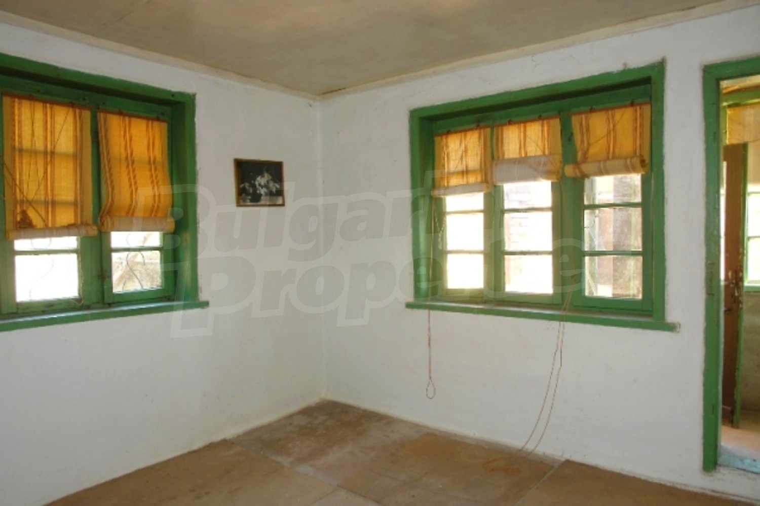 Gallery Picture 5