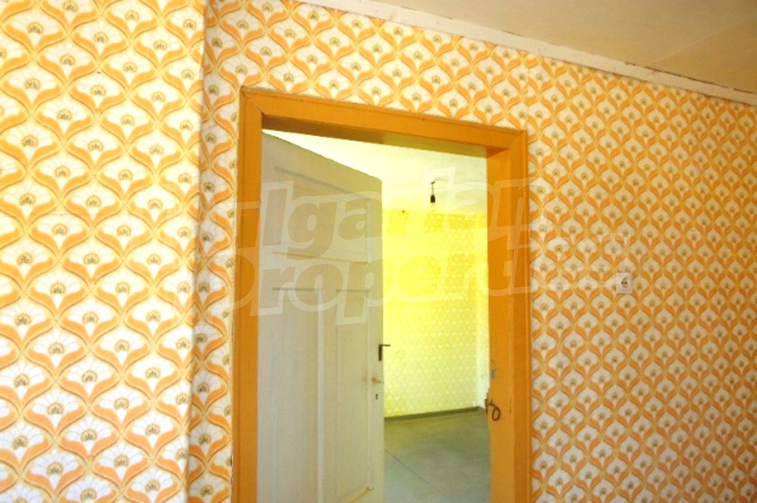 Gallery Picture 8