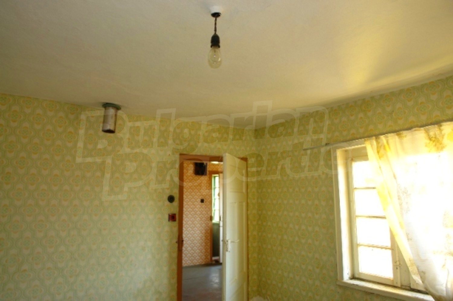 Gallery Picture 9
