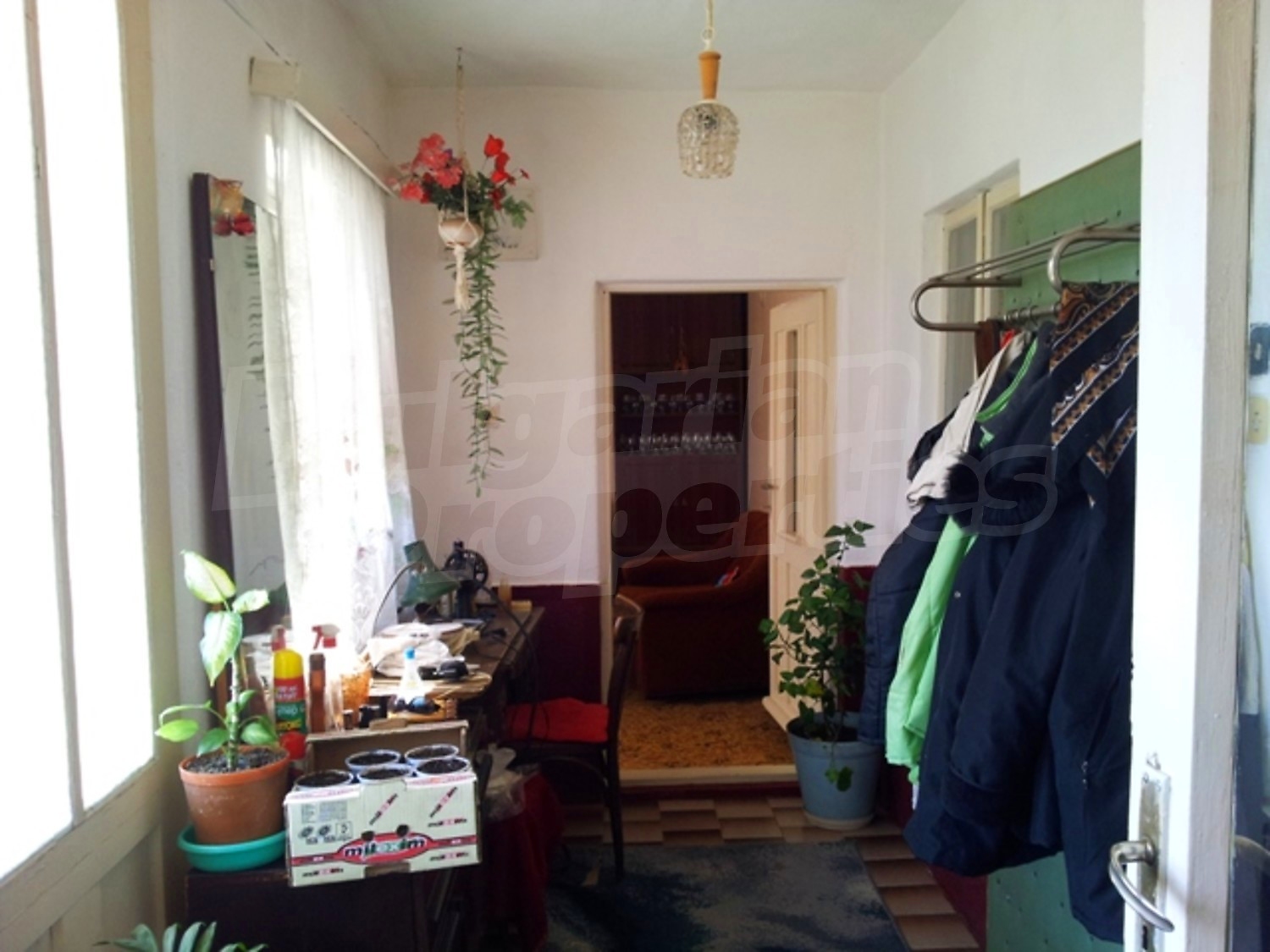 Gallery Picture 16