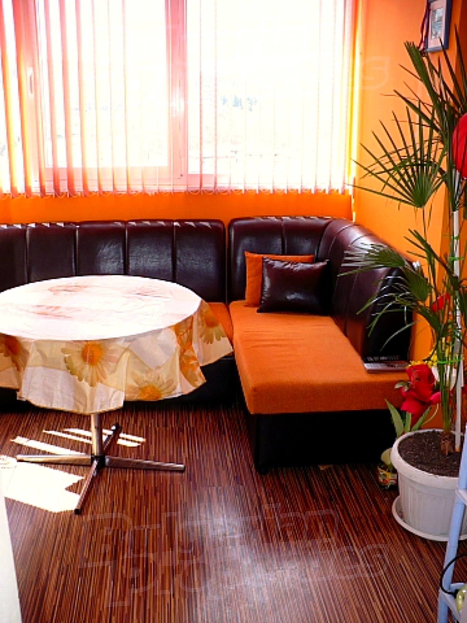 Gallery Picture 6